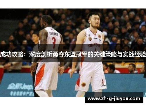 成功攻略：深度剖析勇夺东盟冠军的关键策略与实战经验