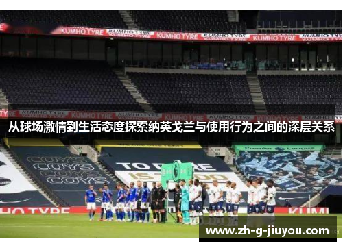 从球场激情到生活态度探索纳英戈兰与使用行为之间的深层关系