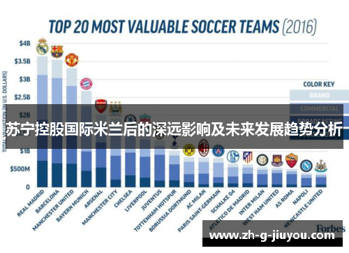苏宁控股国际米兰后的深远影响及未来发展趋势分析