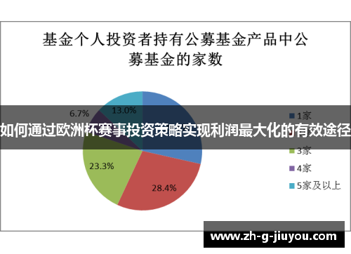 如何通过欧洲杯赛事投资策略实现利润最大化的有效途径