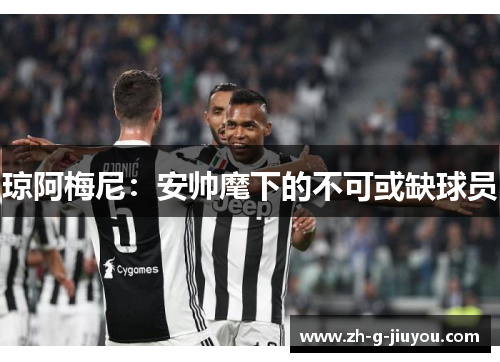 琼阿梅尼：安帅麾下的不可或缺球员