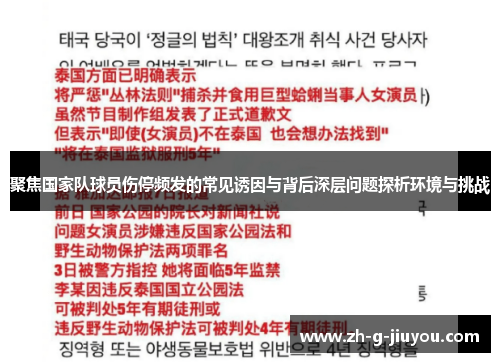 聚焦国家队球员伤停频发的常见诱因与背后深层问题探析环境与挑战
