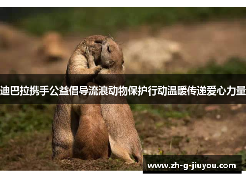 迪巴拉携手公益倡导流浪动物保护行动温暖传递爱心力量 迪巴拉携手公益倡导流浪动物保护行动温暖传递爱心力量